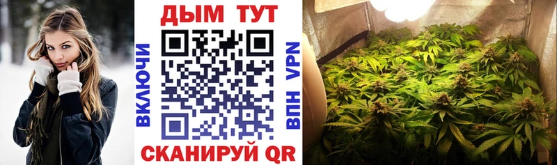 сайты даркнета формула  ссылка на мегу ССЫЛКА  Нурлат  сколько стоит  Канабис индика 